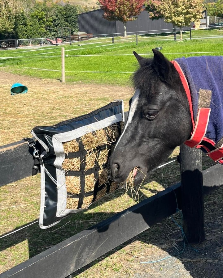 Hay pillow with webbing slow feed