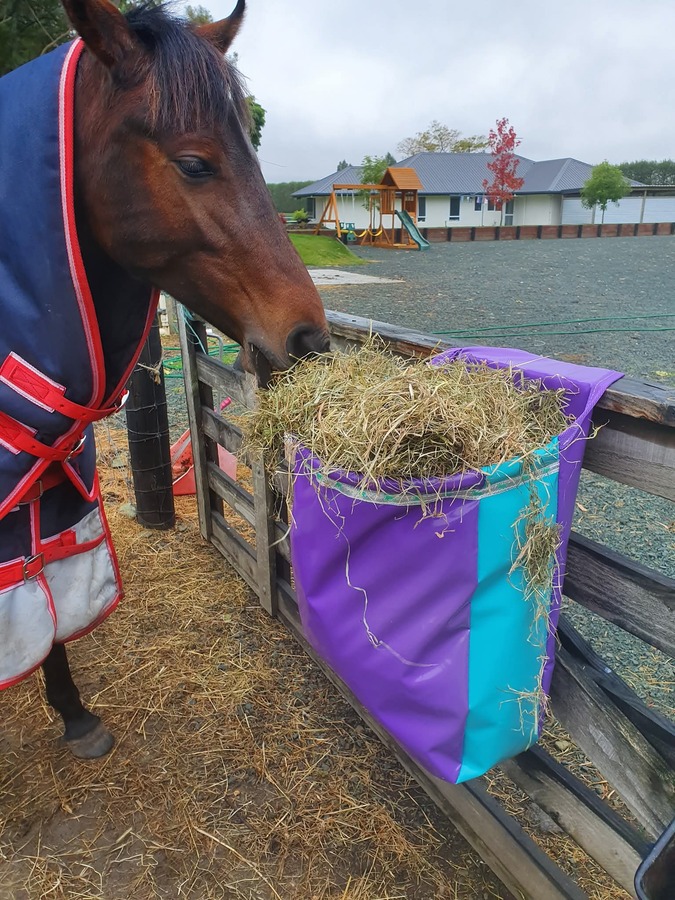 Open top Hay Bags